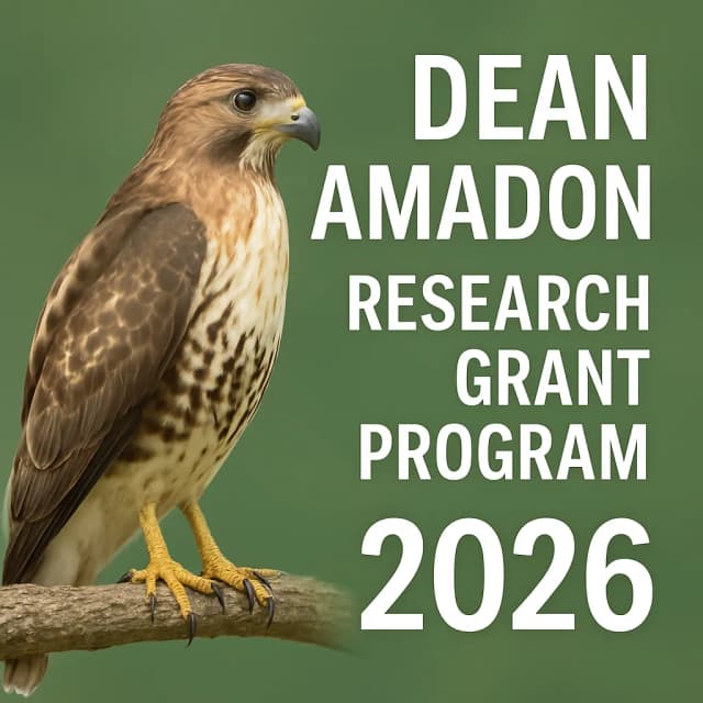 Dean Amadon Research Grant Program 2026
