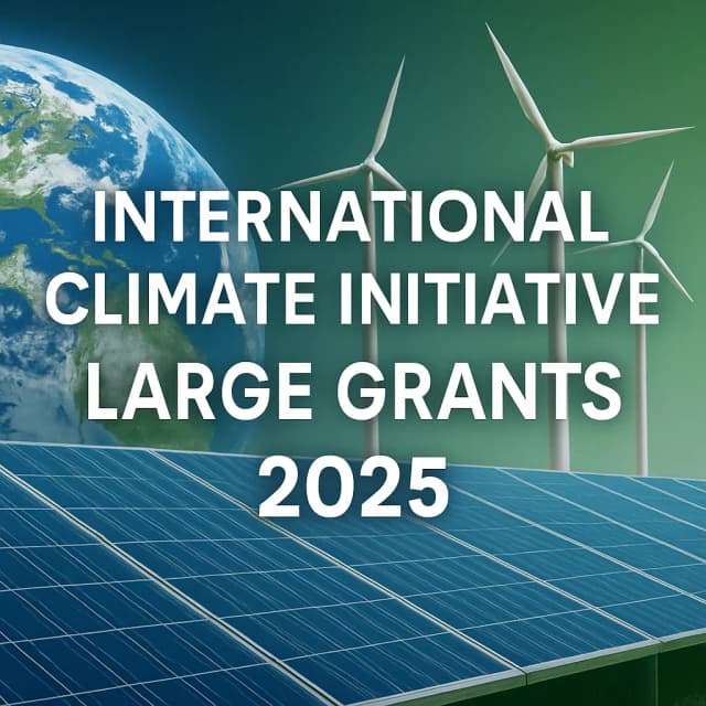 International Climate Initiative Large Grants 2025