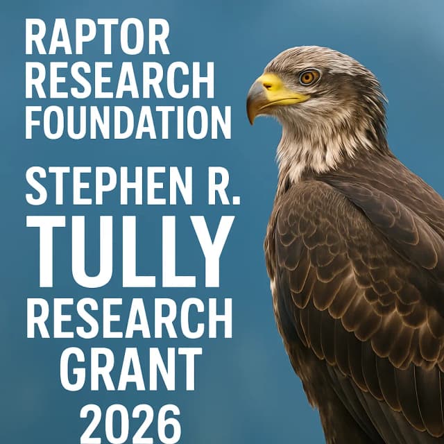 Raptor Research Foundation Stephen R. Tully Research Grant 2026